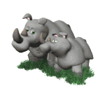 rhinoceros animuoti-vaizdai-gif